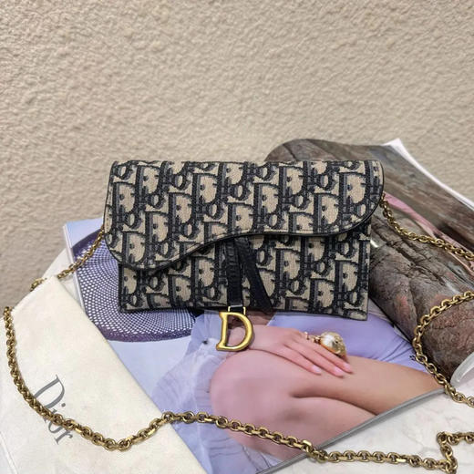 Dior 二合一 老花 woc 马鞍包 商品图0