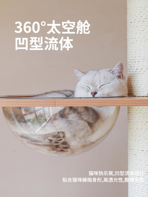 现代风木质大型爬架（包邮）-B 商品图2