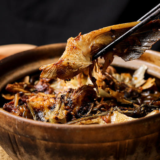 生态鲟龙鱼 商品图11