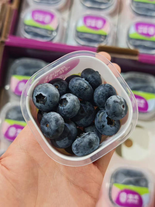 18+佳沃蓝莓60g*12杯大颗 商品图1