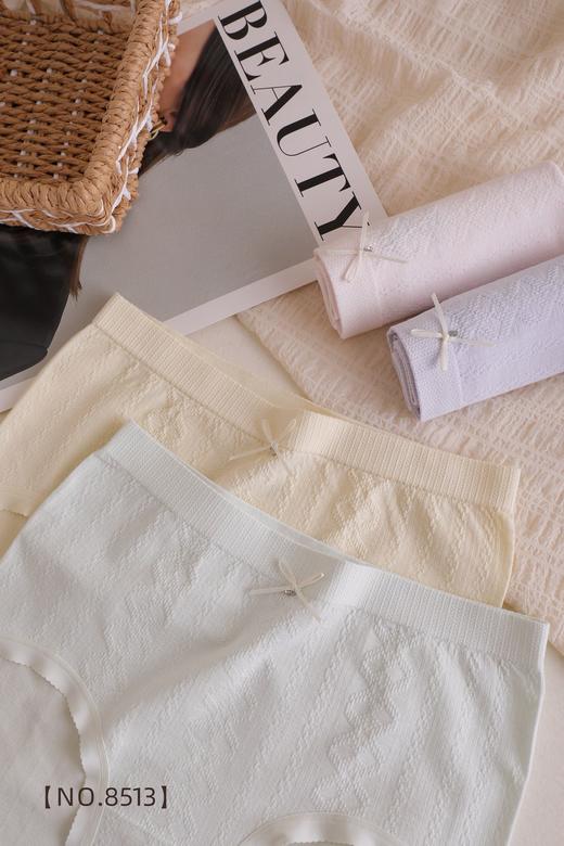 女士裸氨无缝高弹力舒适内裤8513 商品图3