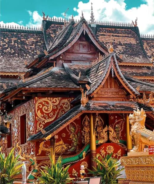 【云南旅游】西双版纳普洱6天5晚亲子研学跟团游 商品图3