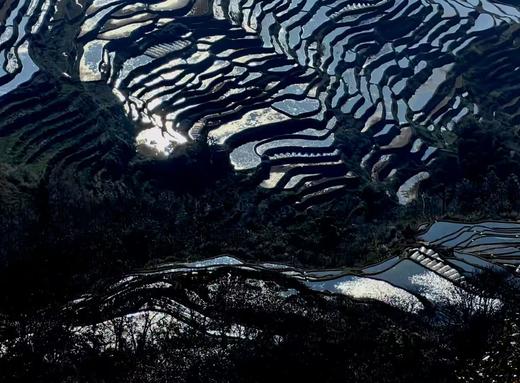元阳梯田“灌水期”（多依树、老虎嘴、坝达、蓝梯田）5天精品摄影团 商品图8