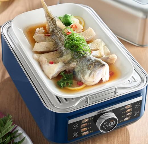 摩飞电器（Morphyrichards）极速电蒸锅 多功能智能预约蒸锅配炖盅鱼盘双层蒸锅 MR1178 商品图1