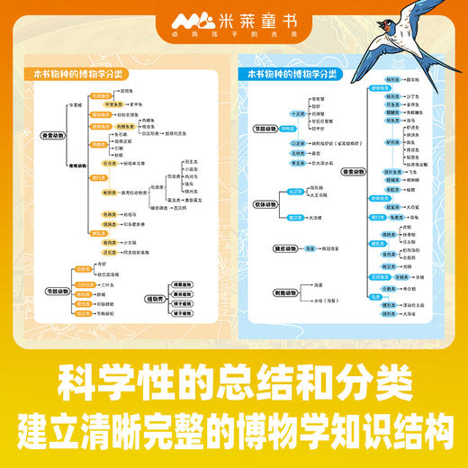 《这就是科学》全5册 5-12岁 5大熟悉的身边场所 8个基础学科 涵盖160余种地球生命 多学科相融 多场景互动 提升综合素质 商品图6