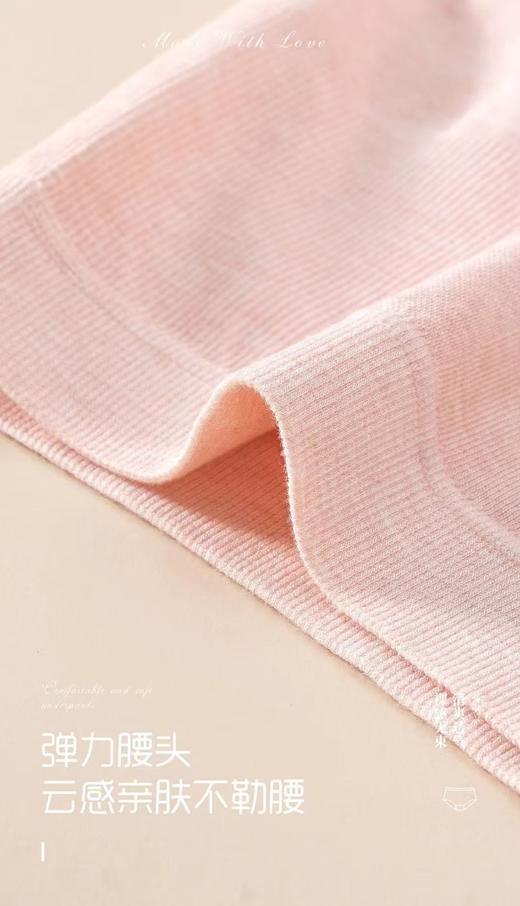 女士彩纱中大版无缝高弹力舒适内裤6810 商品图2