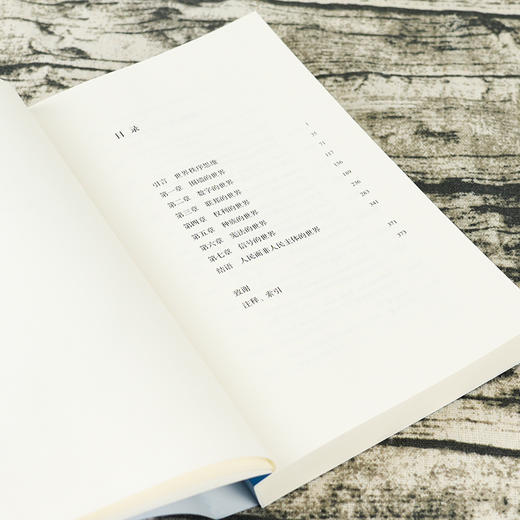 【加拿大】奎因·斯洛博迪安《全球化的未来》 商品图2