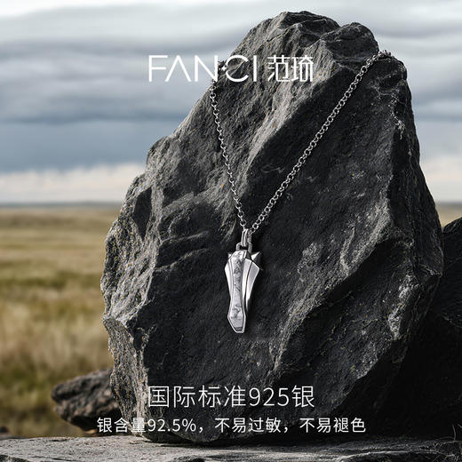 Fanci范琦 马首系列以梦为马银项链白纹石新年情侣送男友生日礼物 商品图2