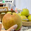 【玉露香梨】圆润饱满 皮薄肉脆 汁多渣少 清甜的“西域甘露” 六枚（5-6斤装） 商品缩略图2