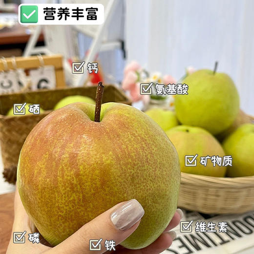 【玉露香梨】圆润饱满 皮薄肉脆 汁多渣少 清甜的“西域甘露” 六枚（5-6斤装） 商品图2