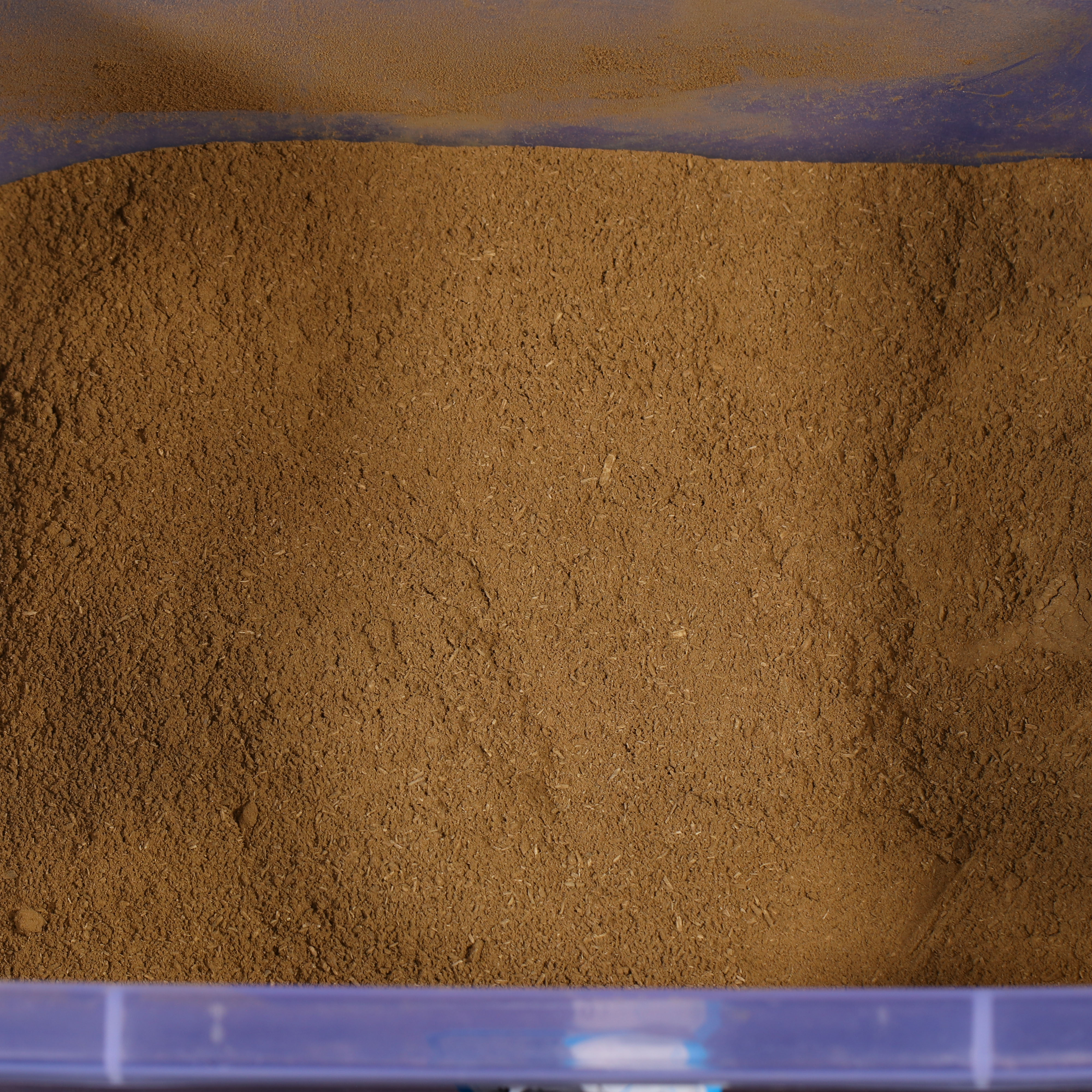 AN211229-08  香港香粉 5克装