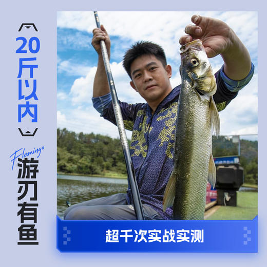 佳钓尼无二轻刃轻量大综合竿鱼竿钓鱼竿 商品图3