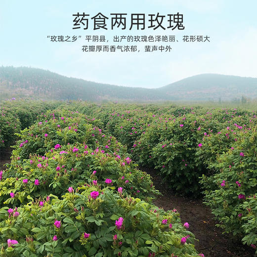 【杞里香玫瑰花冠茶30g/盒】重瓣大朵无熏蒸 花香浓郁 鲜美色艳 朵朵饱满 商品图4