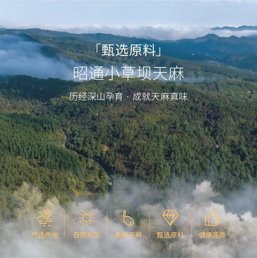 ⁴【云南天麻原浆鲜萃液】甄选云南昭通小草坝天麻 15ml*10支/盒 YC04--CR-BDT 商品图8