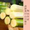 正宗陶山青皮甘蔗独立无节包装手撕新鲜孕妇水果清脆爽口像冰糖一样的口感 商品缩略图0
