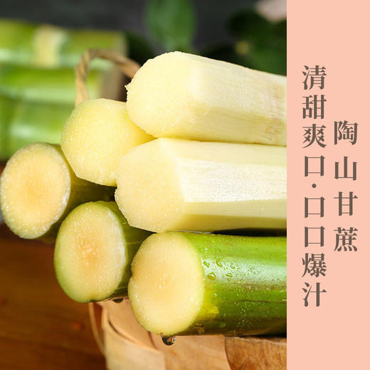 正宗陶山青皮甘蔗独立无节包装手撕新鲜孕妇水果清脆爽口像冰糖一样的口感 商品图0