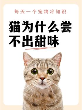 猫为什么尝不出甜味