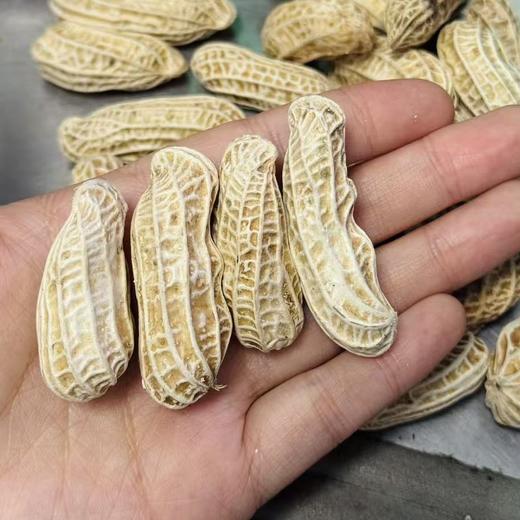 云南七彩水果鲜花生【1斤装】：相比白皮花生，七彩花生的口感更清香，果粒饱满，果肉脆而不硬，咀嚼中酥香混着油香，吃完有一股淡淡的回甘。 商品图3