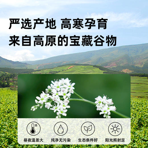 【鱼sir 下单有赠】 喜善花房 黄芪当归黑豆400g(10g*40包)/袋 即食 养生小零食【鱼圈vip福利】 商品图7