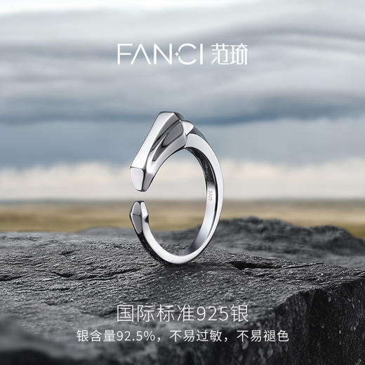 Fanci范琦 马首系列以梦为马戒指2026新款新年送男友生日礼物 商品图2