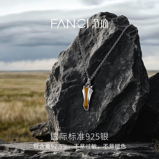 Fanci范琦 马首系列以梦为马项链虎眼石小众轻奢新年送男生日礼物 商品图2