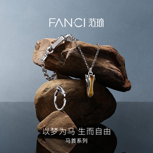 Fanci范琦 马首系列以梦为马项链虎眼石小众轻奢新年送男生日礼物 商品图1