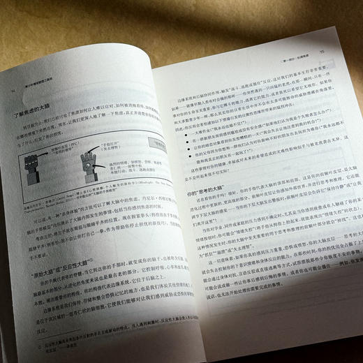 青少年情绪管理工具箱 150个心理工具 让青少年不再emo 青少年情绪管理 心理健康 商品图9