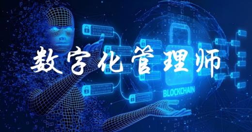 数字化管理师   （2026） 商品图0