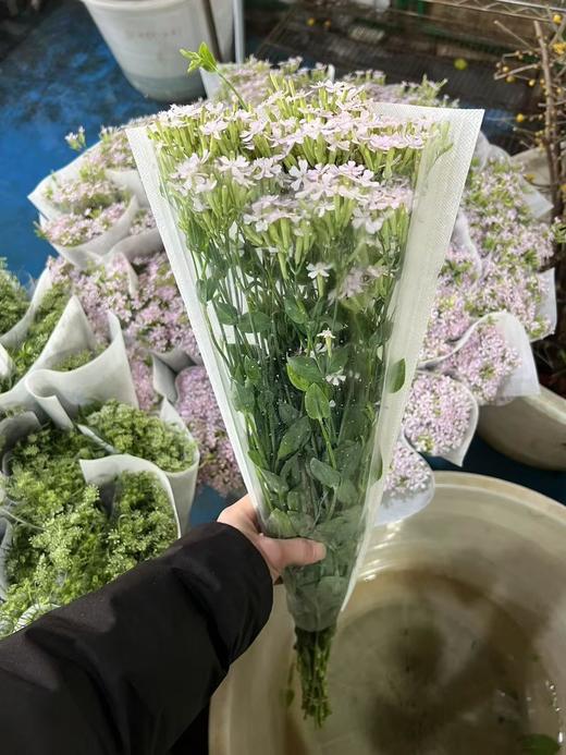 细米花一扎 商品图1