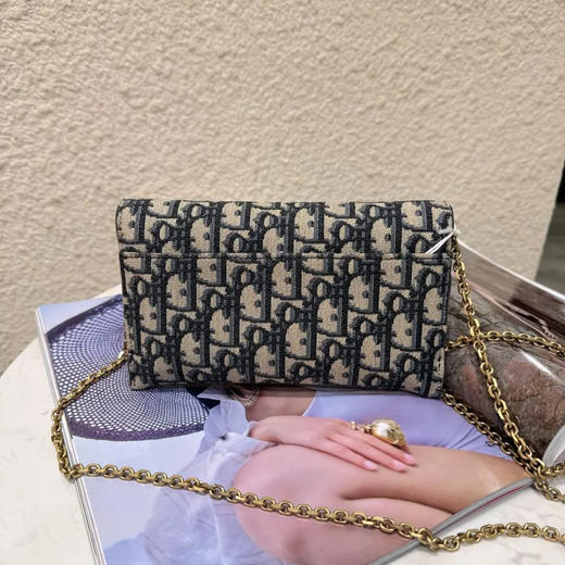 Dior 二合一 老花 woc 马鞍包 商品图1