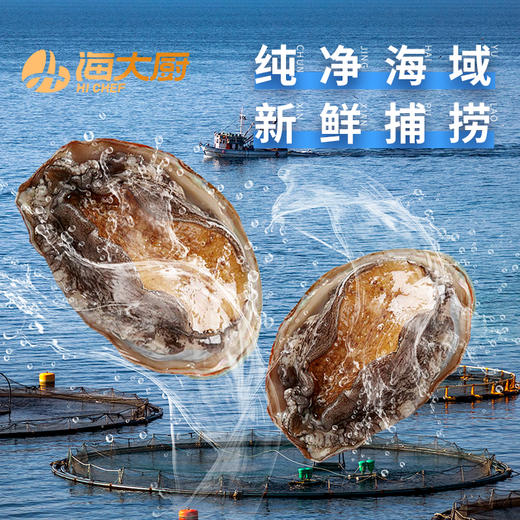 甄选鲍鱼礼盒，北纬39°鲜活鲍鱼，急冻锁鲜，个头均匀，8只/315g/盘*3盘，全国包邮（新疆，西藏，云南，宁夏，海南，港澳台运费自理）。 商品图1