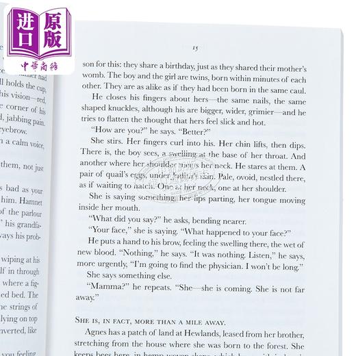 【中商原版】哈姆奈特 电影小说版 婚姻写照 Hamnet Movie Tie in Edition 英文原版 Maggie O Farrell 商品图2