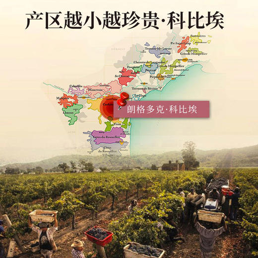 【法国原瓶进口 法定产区AOP级 老藤&橡木桶】法国红酒酒庄直供14度臻酿干红葡萄酒（750ml*6瓶礼盒+开瓶器+2个酒杯） 商品图1