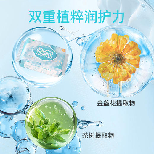 安贝儿金盏花湿厕纸80抽*5包装/80抽*48包装 商品图2