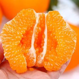 【春见耙耙柑】新年压轴柑橘 早期口感带酸 无籽化渣 爆珠口感 汁水爆棚 4种规格任选