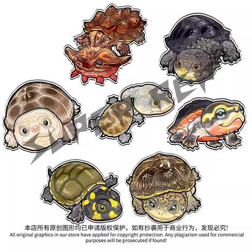 冰箱贴 龟⑨ 侧颈龟主题为主 磁吸 Q版 卡通 爬宠爬虫周边 super rep超爬正版【48小时发货】 商品图1