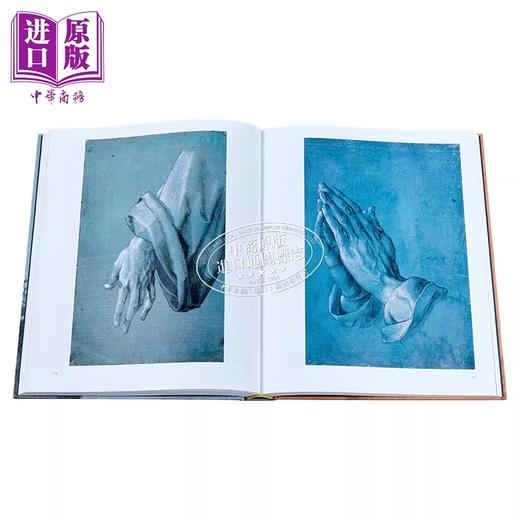 【中商原版】Leonardo Durer 进口艺术 莱昂纳多 丢勒 彩色底色上的文艺复兴杰作 商品图7