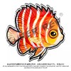 冰箱贴 鱼② 海水鱼观赏鱼主题 磁吸 Q版 卡通 水族鱼海洋鱼 周边文创 super rep超爬正版【48小时发货】 商品缩略图3