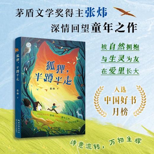 狐狸，半蹲半走 商品图0