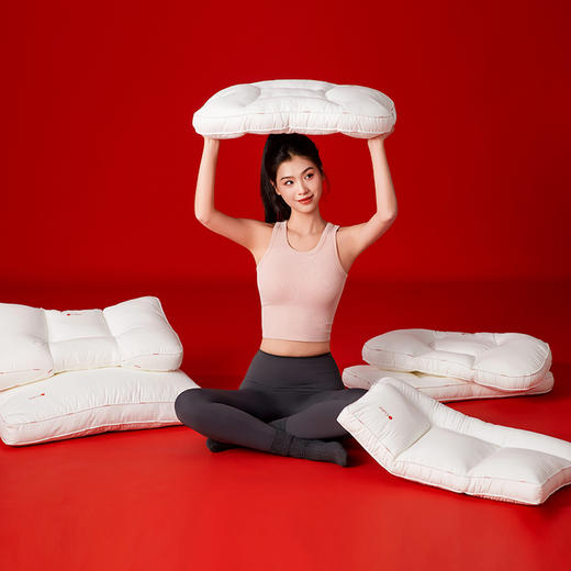 多喜爱 魔方枕芯-RedCube【九种形状】【九款可选】【防羽面料】【A类抑菌】【礼盒包装】【定制K线】【精美烫印】 商品图0