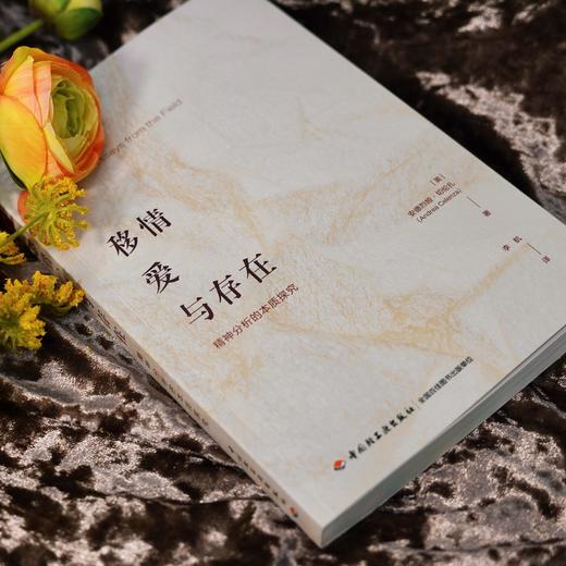 万千心理·移情、爱与存在：精神分析的本质探究 商品图3