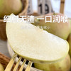【玉露香梨】圆润饱满 皮薄肉脆 汁多渣少 清甜的“西域甘露” 六枚（5-6斤装） 商品缩略图0