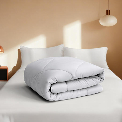 水星臻选暖云灰屿石墨烯大豆被 商品图3