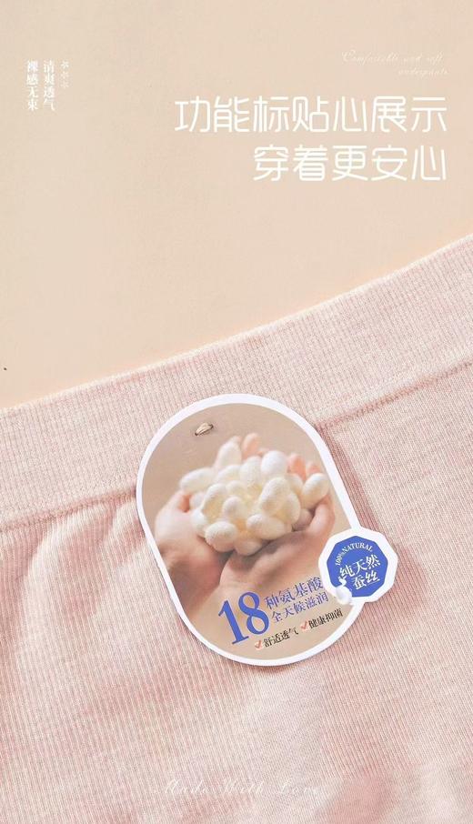 女士彩纱中大版无缝高弹力舒适内裤6810 商品图1