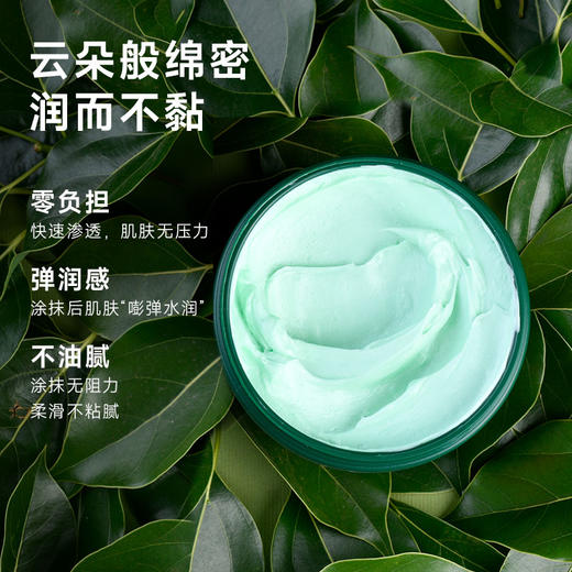 【年货节专属】INGRAM'S英格莱恩南非小绿膏原装进口草本香樟乳霜-D1 商品图1