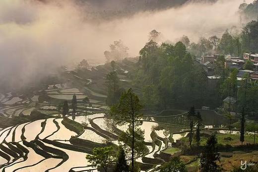 元阳梯田“灌水期”（多依树、老虎嘴、坝达、蓝梯田）5天精品摄影团 商品图4