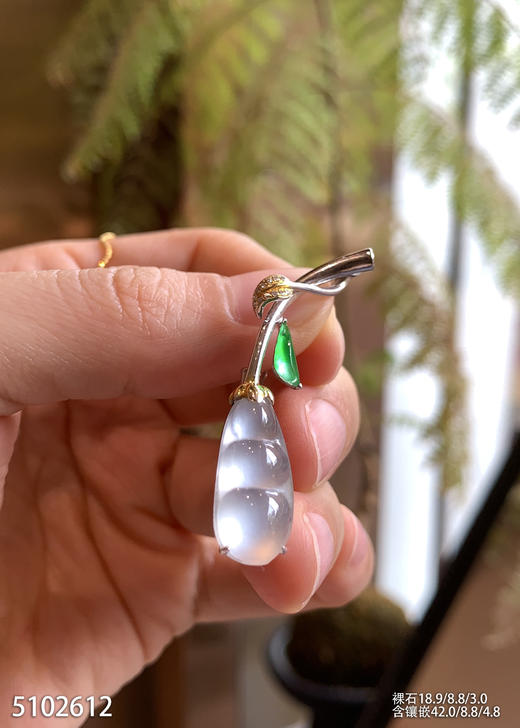 5102612，福豆胸针。具体价格微信咨询 商品图3