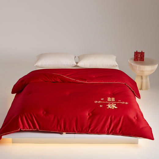 60支长绒棉婚嫁大豆被子全棉冬被加厚结婚陪嫁大红色新婚喜被春秋棉被芯 商品图3