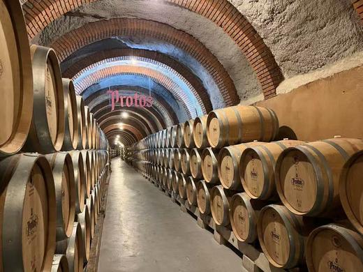 2月12日停运~【年货节 品尝特惠  橙子自留款红酒】Protos普洛托斯干红葡萄酒 西班牙进口红酒 西班牙 “奔富平替” 果香浓郁 单宁顺滑 越醒越好喝 微醺不上头 商品图8