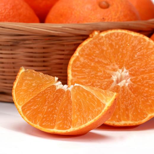 象山老树红美人黄美人 柑橘贵族 又甜又嫩 天然养成 不催熟 核心产区 皮薄肉嫩 一口爆汁 好吃纯正 |百里食 商品图7